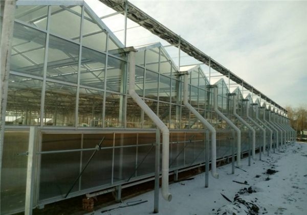 山東溫室大棚廠家